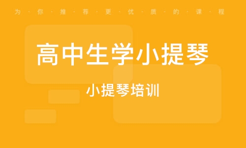 义乌小提琴培训 