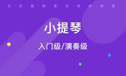 义乌小提琴试听课 